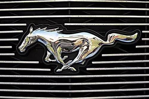 車標上的動物都是啥來頭？看完又能出去裝X了