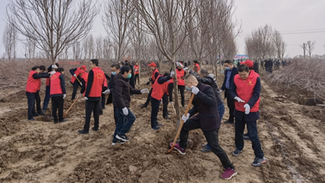 栽下樹苗，留下新綠