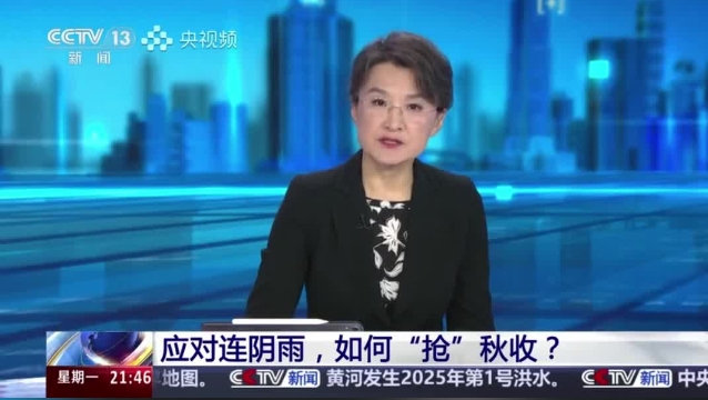 【主流媒體看周口】面對(duì)連陰雨 如何“搶”秋收？